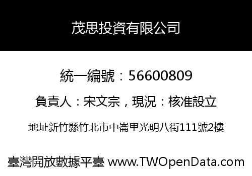 茂思投資有限公司