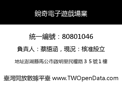 銳奇電子遊戲場業