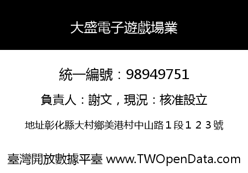 大盛電子遊戲場業