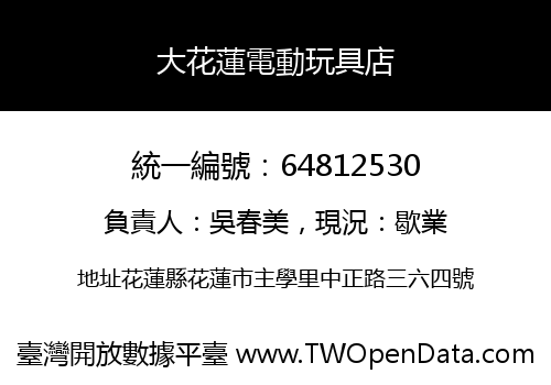 大花蓮電動玩具店
