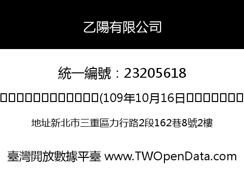乙陽有限公司