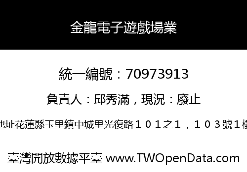 金龍電子遊戲場業