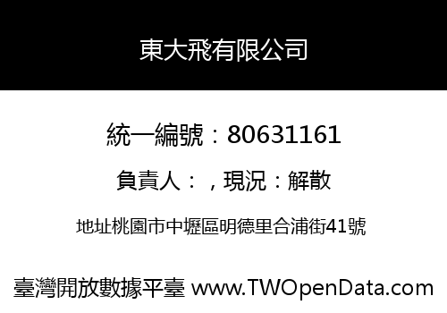 東大飛有限公司