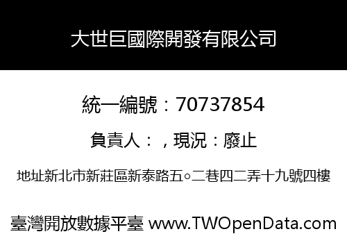 大世巨國際開發有限公司