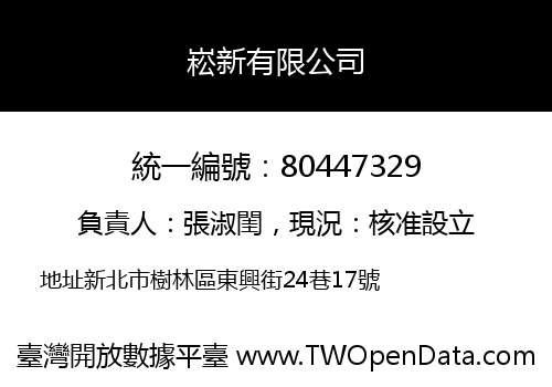 崧新有限公司