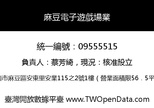 麻豆電子遊戲場業