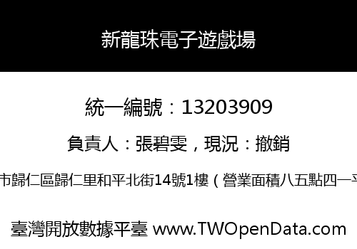 新龍珠電子遊戲場