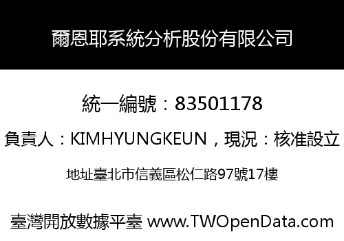 爾恩耶系統分析股份有限公司