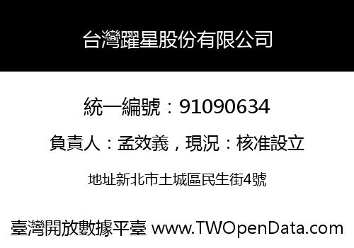 台灣躍星股份有限公司