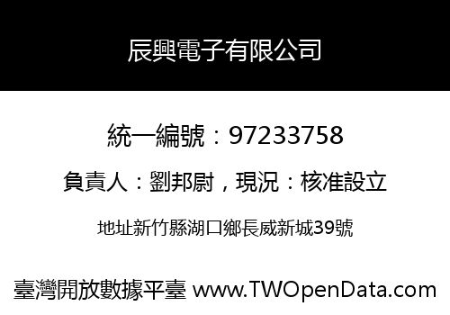 辰興電子有限公司