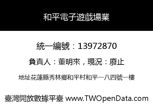 和平電子遊戲場業