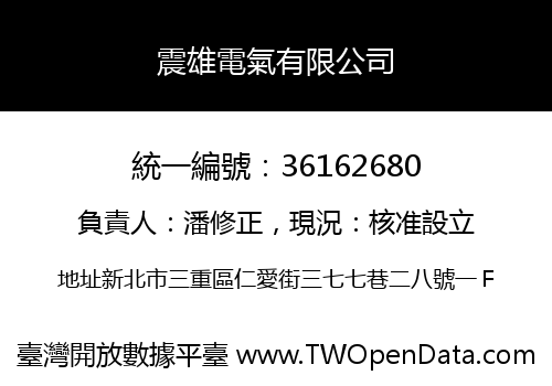 震雄電氣有限公司