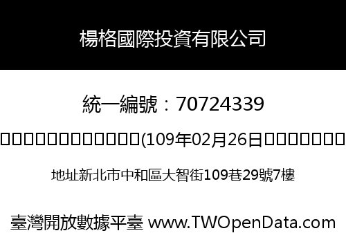 楊格國際投資有限公司