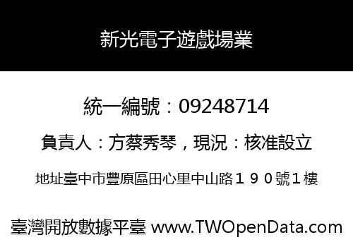 新光電子遊戲場業