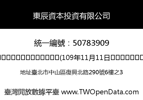 東辰資本投資有限公司